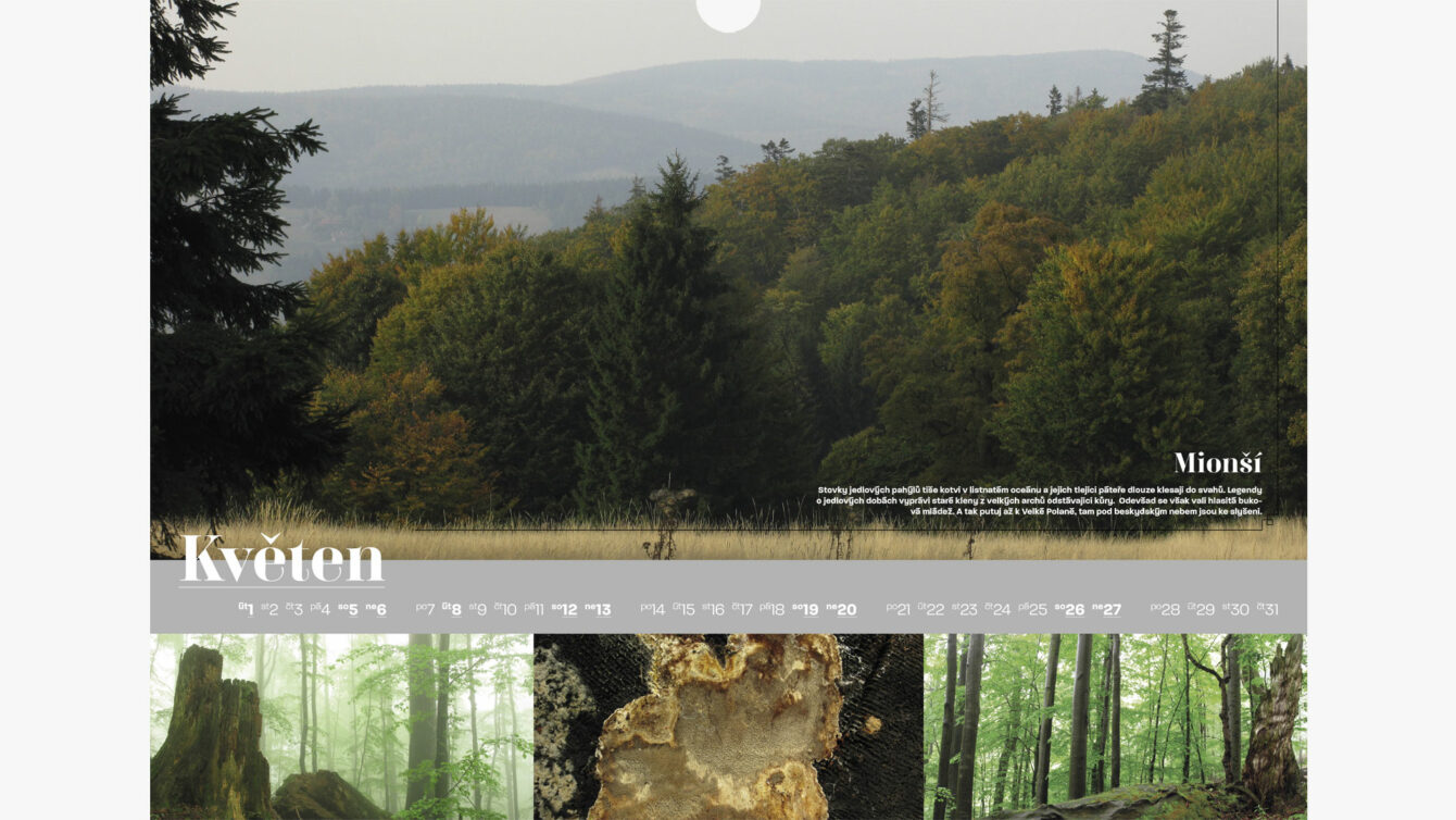 Kalendář pralesů ČR, Logo a Tisk, webdesign, Brno