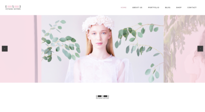 Elysian Sisters - realizace, Web design