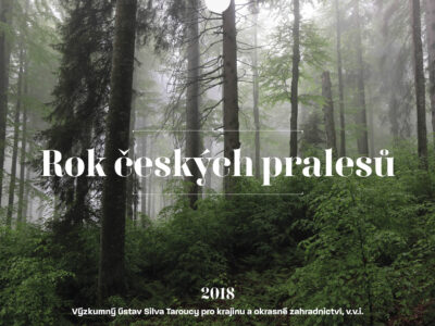 Kalendář pralesů ČR - realizace