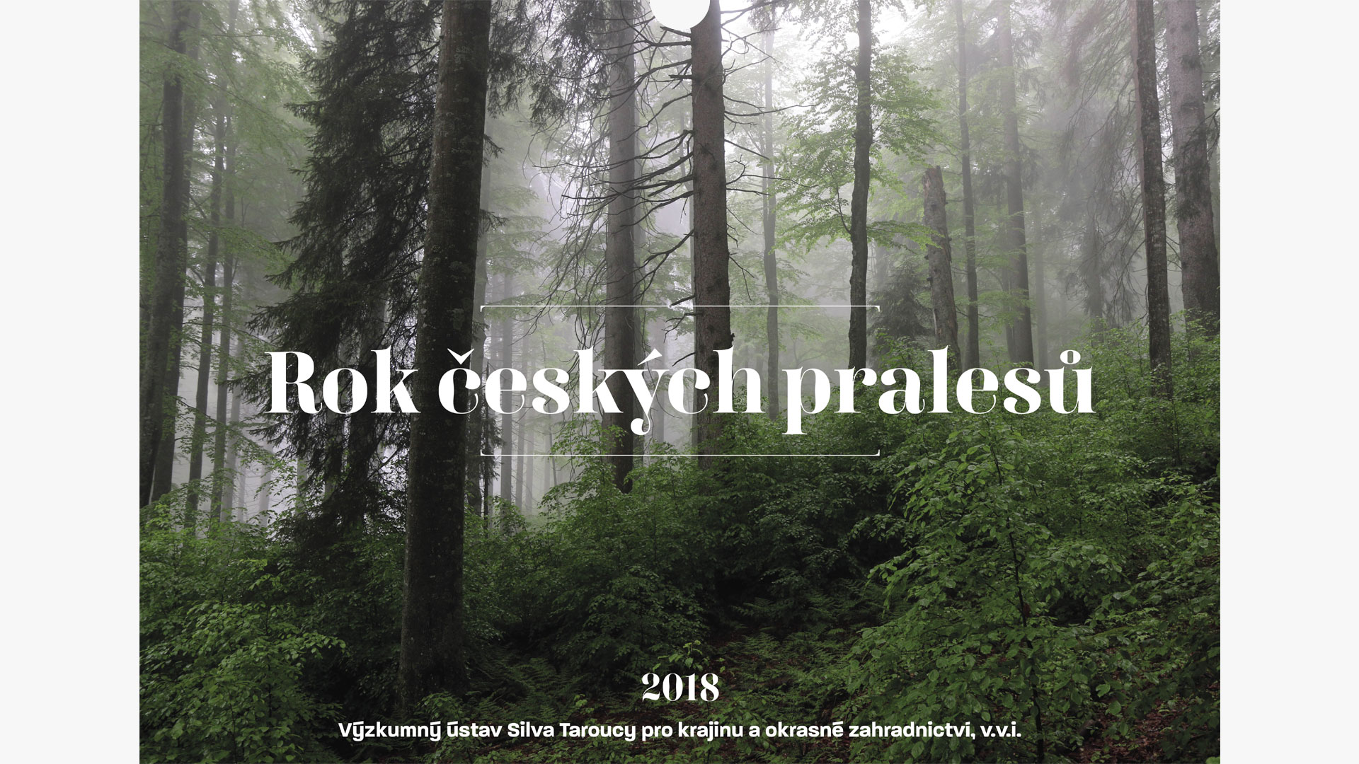 Kalendář pralesů ČR - realizace, Logo&Tisk