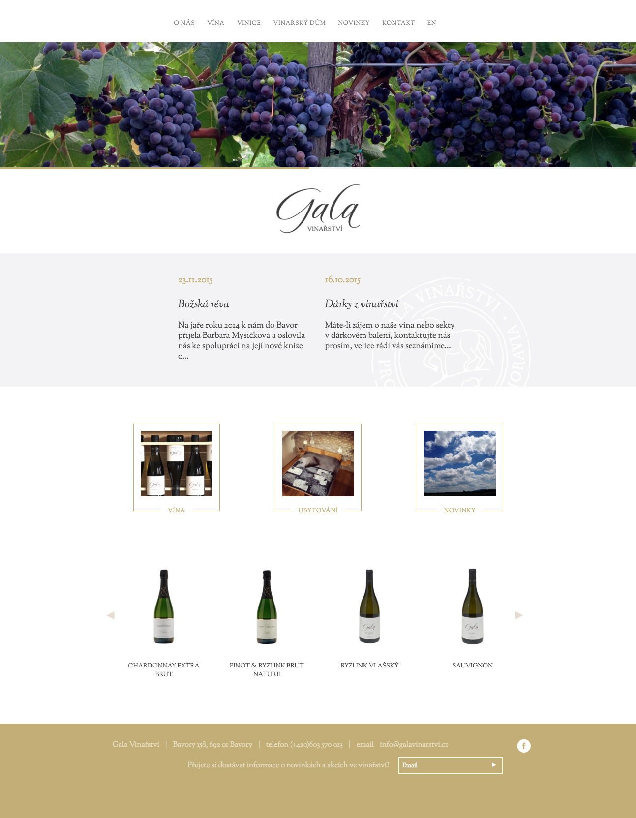 Gala Vinařství - tvorba www stránek, Webdesign