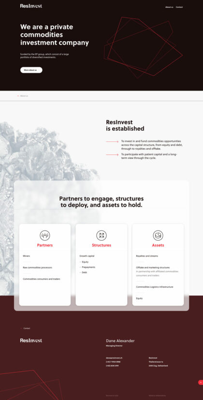 ResInvest - realizace, Web design