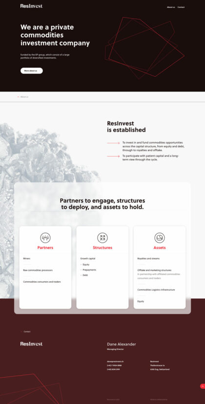 ResInvest - realizace, Webdesign